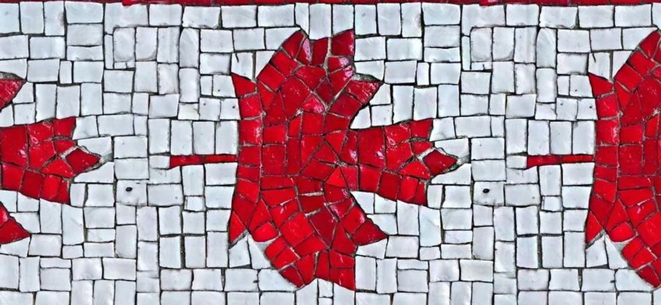 ¡Top 10 curiosidades canadienses! (PARTE 1) | Integración en High School Red Leaf