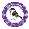 New-Brunswick-Red-Leaf-Estudiar-Canada