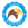 Alberta Bighorn Sheep Red Leaf